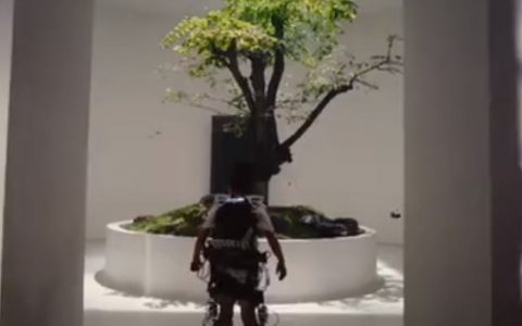 联想 -「万有新力」之「奇迹」