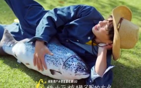 闲鱼-太可爱了，无暇不出