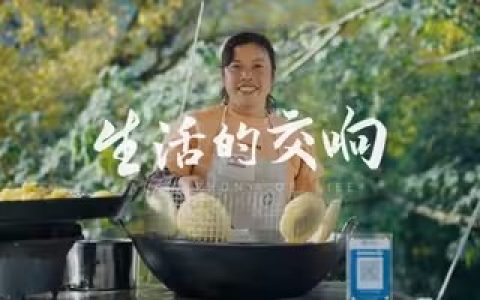 如果没有移动支付-中国互联网发展基金会&蚂蚁集团