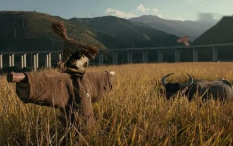 咪咕世界杯《全球都是球》