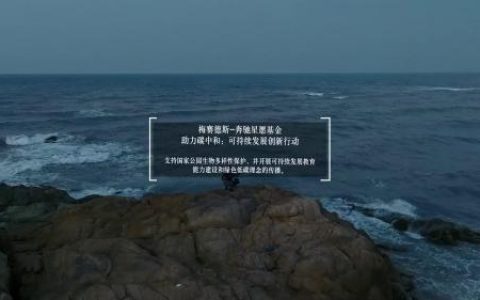 所谓可持续，究竟是什么颜色？