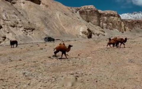 追觅科技 X 影视飓风之《捕鼠计划》