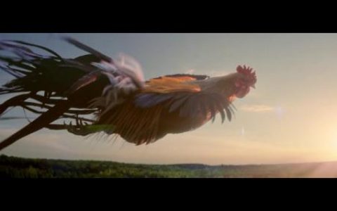 一只大公鸡向世界喊出“明日已至”？