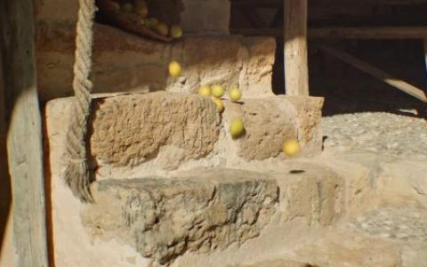 阿玛尼香水夏日广告