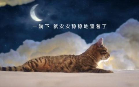 喜临门夜猫子广告片