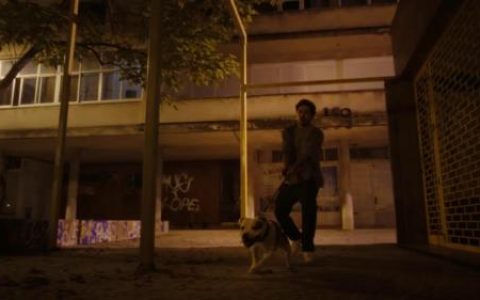 这支动保公益广告，结局令人深思