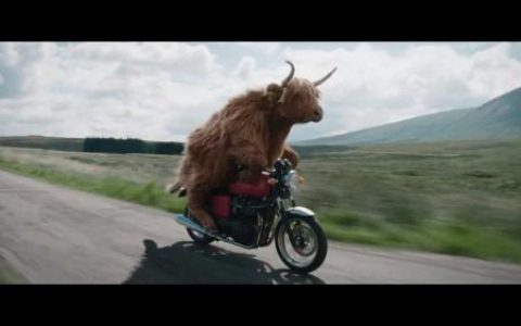 既然能骑车，为什么还要走路?