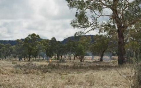 打破黑白偏见，格兰杰威士忌多彩广告大片重塑醉意幻想